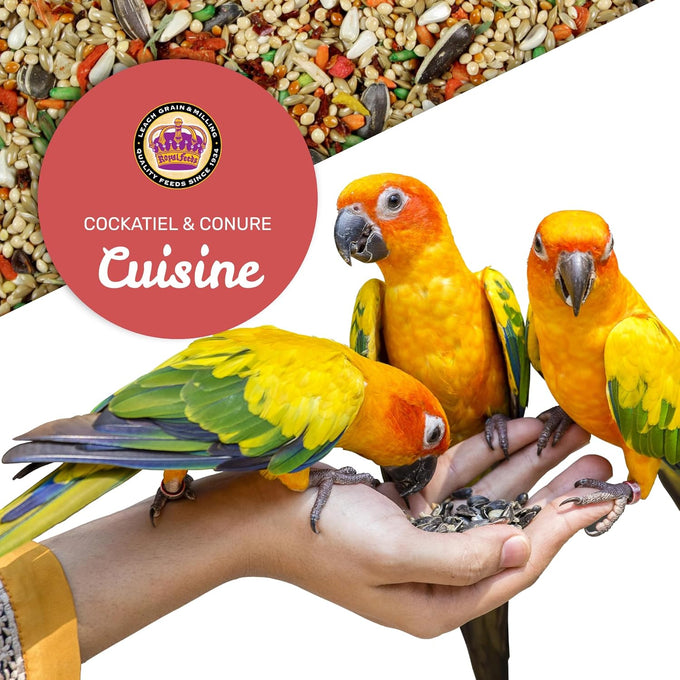 cockatiel conure cuisine 4 lbs nutrient-rich mixed birdseed daily energy growth balanced diet