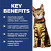 Hill's Science Diet Light, Adult 1-6, Weight Management Support, Dry Cat Food, Chicken Recipe, 7 lb Bag