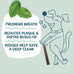 Shameless Pets Blueberry & Mint Dental Chews for Dogs, 32-piece Grain-Free Dental Sticks with Fresh Breath Benefits