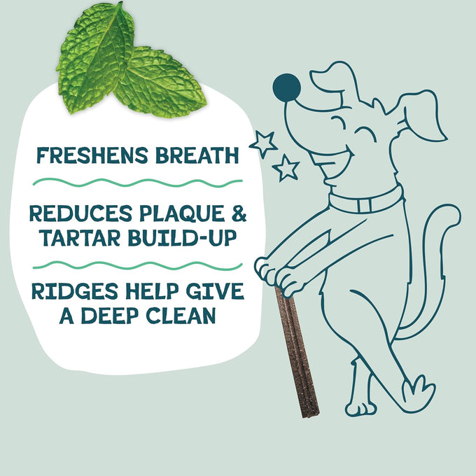 Shameless Pets Blueberry & Mint Dental Chews for Dogs, 32-piece Grain-Free Dental Sticks with Fresh Breath Benefits