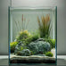 Vimvins 3 gallon ultra white glass fish tank for small aquariums with betta, snails, shrimp and aquatic plants