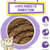 Weruva Classic Cat Paté with Chicken & Beef, Grain-Free, 3oz Cans, (Pack of 12)