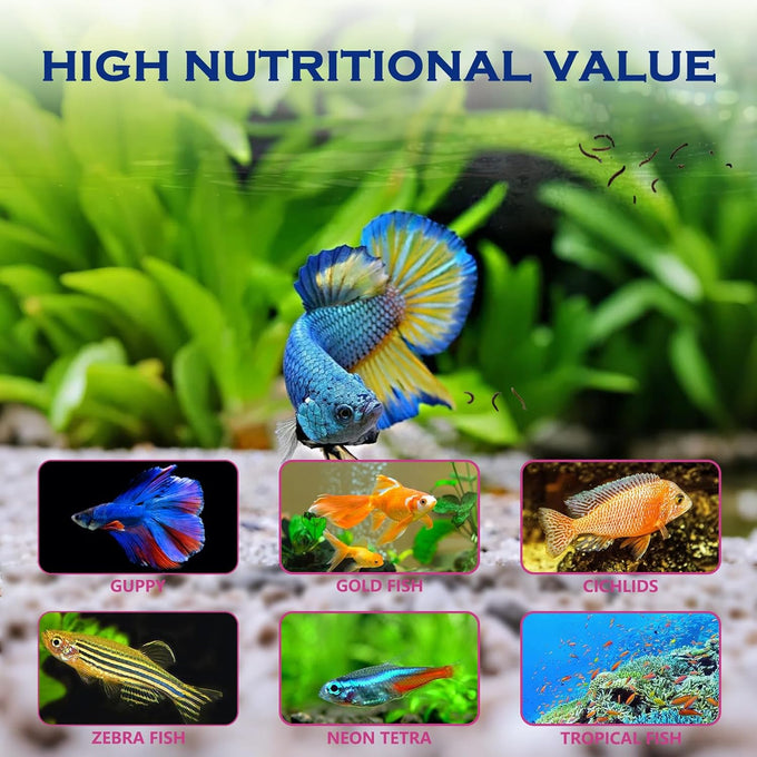 Freeze-dried bloodworms high protein natural aquatic food for tropical saltwater fish betta goldfish cichlid guppy 3.5 oz
