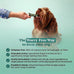 Pet Honesty Brush Buddies All Natural Dog Dental Treats, Long Lasting, Teeth Cleaner