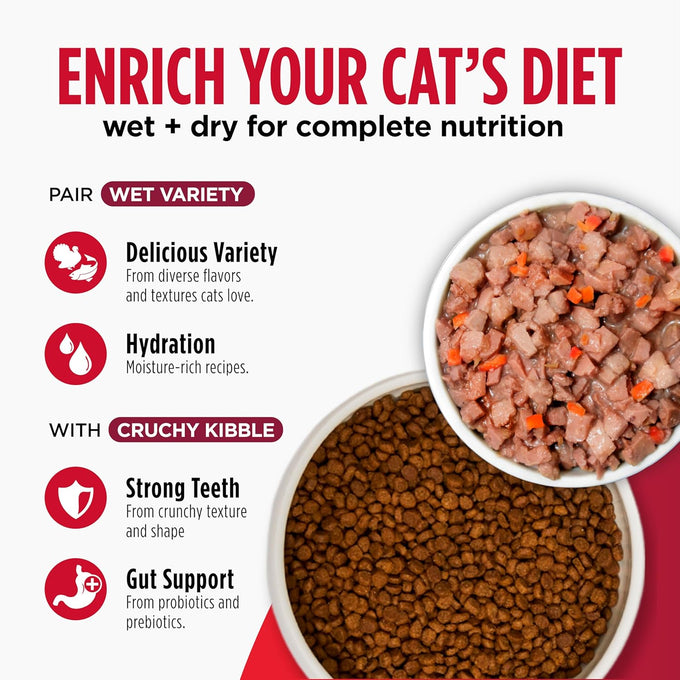 Nulo Freestyle Cat & Kitten Dry Food, Chicken & Cod Recipe, High Protein Grain Free, 4lb Bag, Natural Kibble