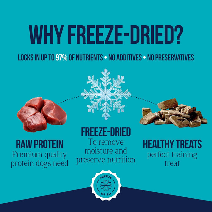 stewart 100% beef liver dog treats 4 oz tub freeze dried raw single ingredient grain free training treats or meal topper