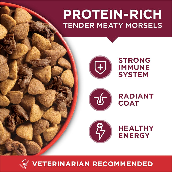 Purina ONE Small Bites Beef & Rice Dry Dog Food - 31.1 lb