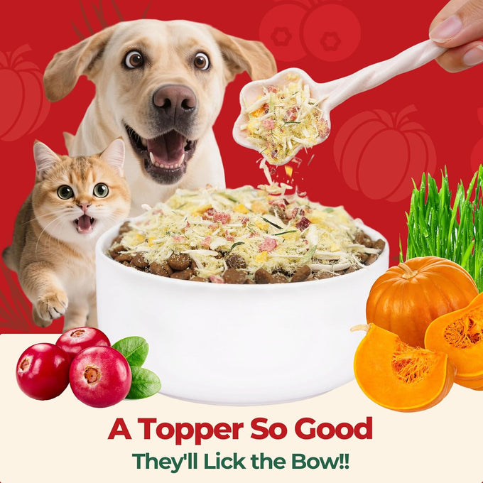 Wellix Pet Freeze Dried Treats High Protein Cat & Dog Food Topper 7.05oz 3 Ingredients Cat Grass Cranberry Pumpkin
