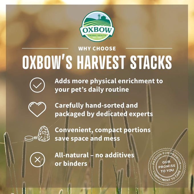 Oxbow Harvest Stacks Timothy Hay with Carrots 35 oz Guinea Pig Hay for Small Pets