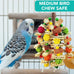 Natural Parrot Chew Toy for Conures, Quaker Parrots, with Seagrass, Corn Cob, and Wooden Beads