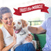 Nature's Miracle Enzymatic Urine Destroyer Plus for Dogs, 32 oz, Severe Stain Removal Formula