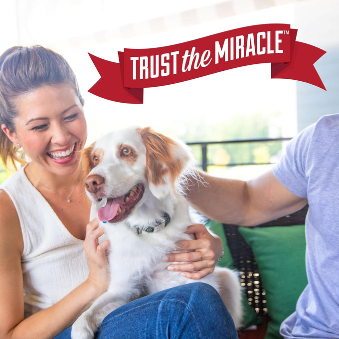 Nature's Miracle Enzymatic Urine Destroyer Plus for Dogs, 32 oz, Severe Stain Removal Formula