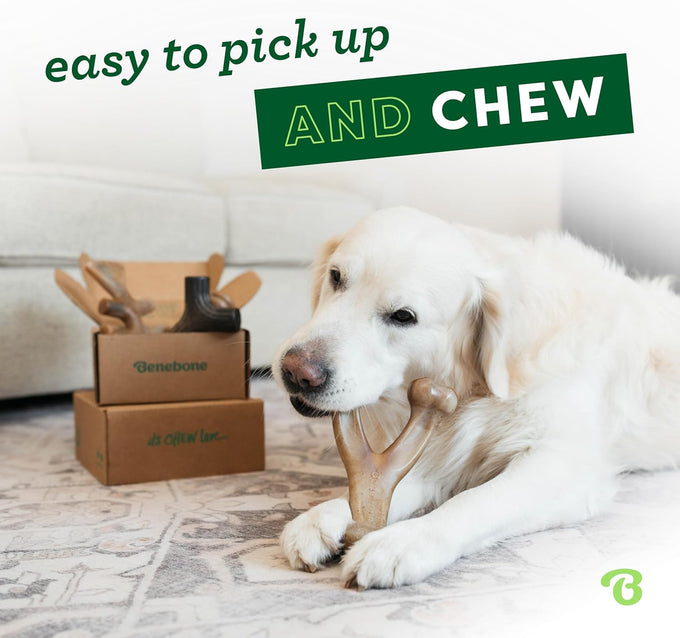 benebone small 4-pack dog toys durability made in usa for small dogs under 30 lbs