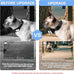 HD 1080P Pet Camera Collar with Video Record Wireless Mini Sport Cam, Small Action Cameras for Pet Supplies