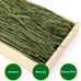 Premium dust-free natural oat hay for pets - rabbits, guinea pigs, chinchillas, hamsters & gerbils - 100% chemical-free, organic