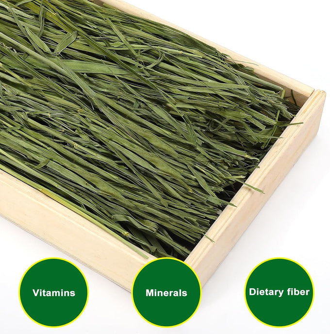 Premium dust-free natural oat hay for pets - rabbits, guinea pigs, chinchillas, hamsters & gerbils - 100% chemical-free, organic