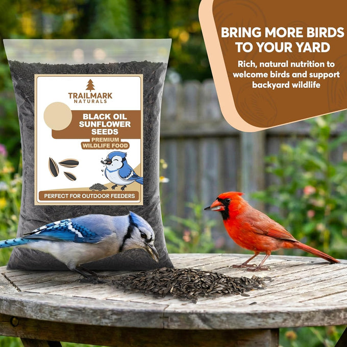 15 LB Black Oil Sunflower Seeds for Birds - Premium Wildlife Food - Non-GMO - Grown in the USA