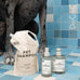 DedCool 01 Taunt Clean Luxury Pet Perfume for Dogs 8.5 fl oz Non-Toxic Vegan Deodorizing Spray