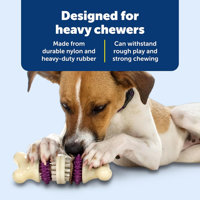 PetSafe Busy Buddy Bristle Bone Dog Chew Toy, Purple, Medium for Hard Chewers, Durable, Interactive, Teeth Cleaning
