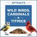 Pennington 22.5-lb Wild Bird Seed for Outside Feeders, Critter-Proof Bucket, Songbird Favorites and Year-Round Nutrition