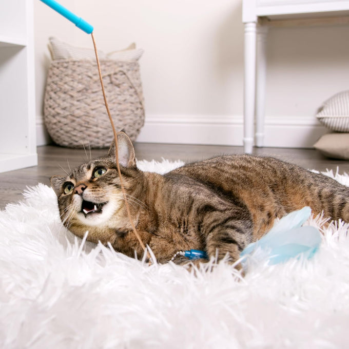 SmartyKat Frisky Flyer Extendable Cat Toy, Blue, One Size, 24" Reach