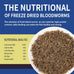 Dylan's cabin freeze-dried bloodworms high-protein fish food for all tropical fish betta goldfish discus guppies cichlids 85g