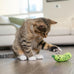 Catstages Pickle Kicker Cat Toy - Soft Plush Crinkle Toy with Catnip and Dental Mesh, 6.5"