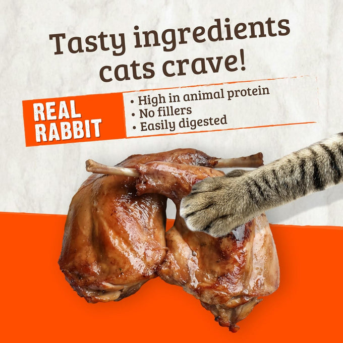 Rawz Real Rabbit Dry Food for Cats Made in USA, Freeze Dried Coating, 1.75 Pounds, No Fillers, Made in USA