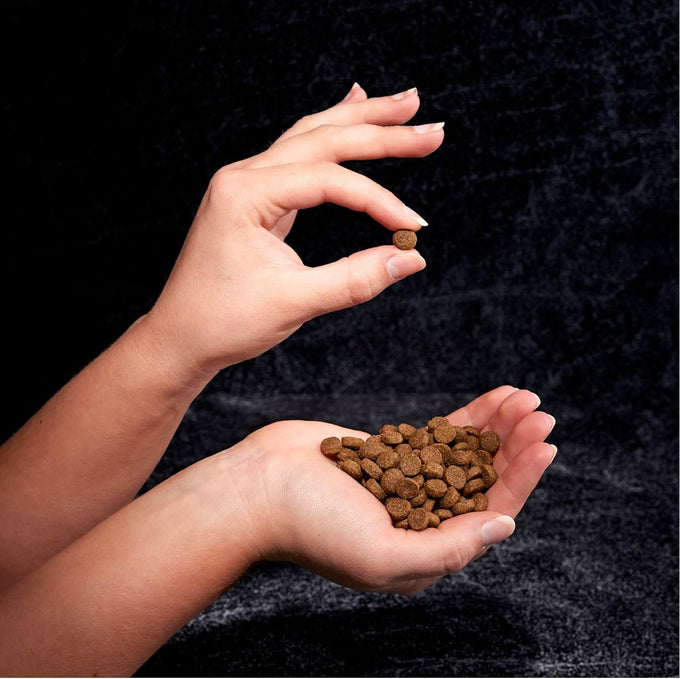 CRAVE Grain Free Dry Dog Food, Chicken, 4 lb