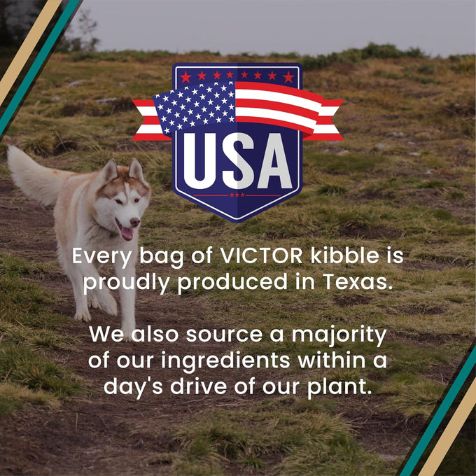 VICTOR Super Premium Dog Food – Hi-Pro Plus Dry Kibble – High Protein Dog Food with 30% Protein – Beef, Chicken, Pork, Fish Meals, Gluten Free - for High Energy and Active Dogs & Puppies, 5lbs