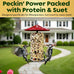 Woodpecker bird seed cylinders with hole – premium woodpecker food blend, USA made, 4" x 7.75"