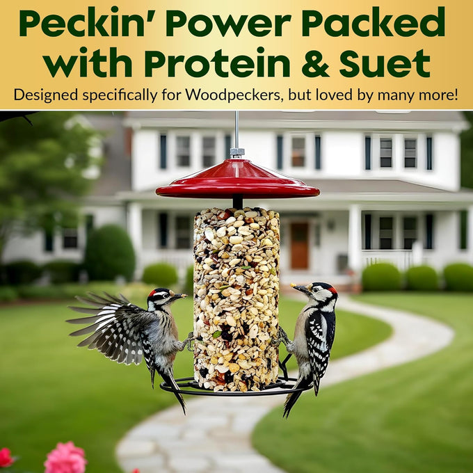 Woodpecker bird seed cylinders with hole – premium woodpecker food blend, USA made, 4" x 7.75"