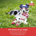 Multipet Lamb Chop Squeaky Dog Plush Toy - 10" Creampuff for Small & Medium Dogs