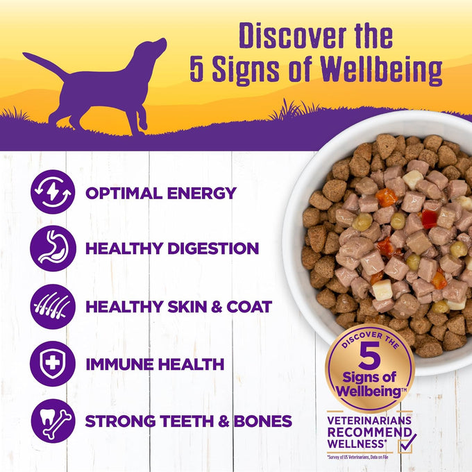 Wellness Grain-Free Chicken Stew Wet Dog Food, 12.5 oz, 12 Cans