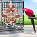 Natural Corn Stick Parrot Toys for Small to Medium-Sized Macaws, African Greys, Cockatoos, and Sun Conures