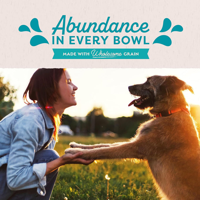 Natural Balance Chicken Formula Wet Dog Food, 13oz (12-Pack)