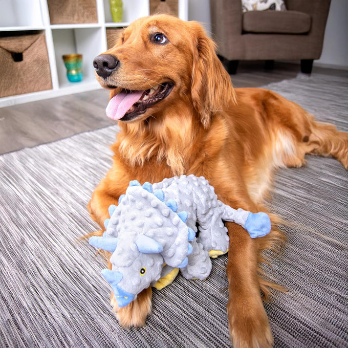 goDog Dinos Frills Squeaky Plush Dog Toy with Chew Guard Technology, durable fabric, for active play, gray, large