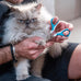 Mr. Pen Stainless Steel Cat Nail Clipper for Small and Medium Cats with Non Slip Handle