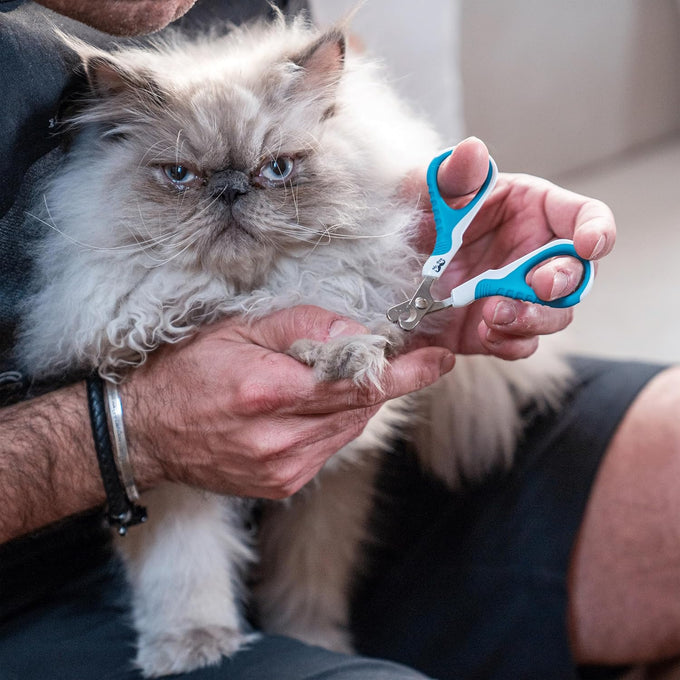 Mr. Pen Stainless Steel Cat Nail Clipper for Small and Medium Cats with Non Slip Handle