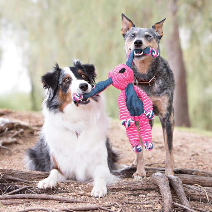 Kong Floppy Knots fox medium large dog tug toy with internal knotted rope and minimal stuffing