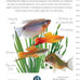 CompanionHouse Books Choosing Starter Freshwater Fish Aquarium Setup, Feeding, Breeding, and More Paperback 2007