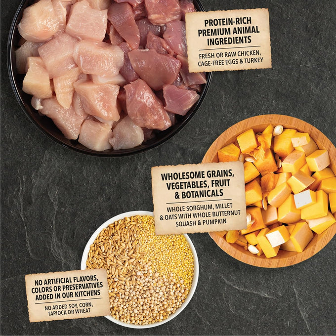 acana wholesome grains dry dog food puppy recipe real chicken eggs turkey 4lb bag