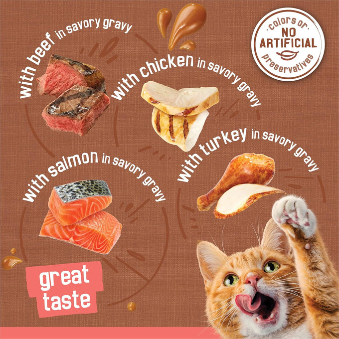 purina friskies extra gravy wet cat food 24ct variety pack with chicken turkey salmon beef 5.5 oz cans