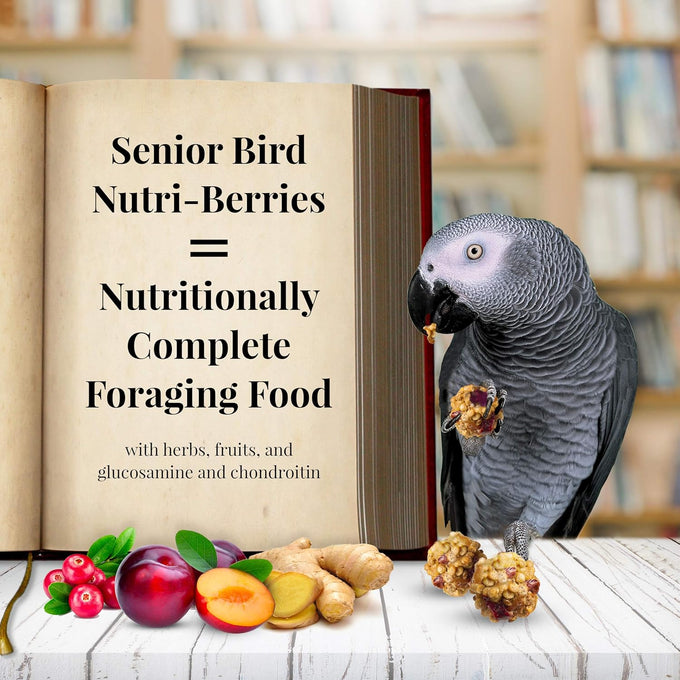 Lafebers Senior Bird Nutri Berries Parrot Food 3 lb Non GMO Human Grade Ingredients