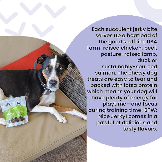 I and love and you Nice Jerky Bites, 4oz Grain-Free Soft & Chewy Dog Treats with Real Beef & Pasture-Raised Lamb, Ideal for Training & Protein Boost, Filler-Free Formula.