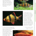 Aquamaster freshwater aquarium setup guide paperback companionhouse 2007