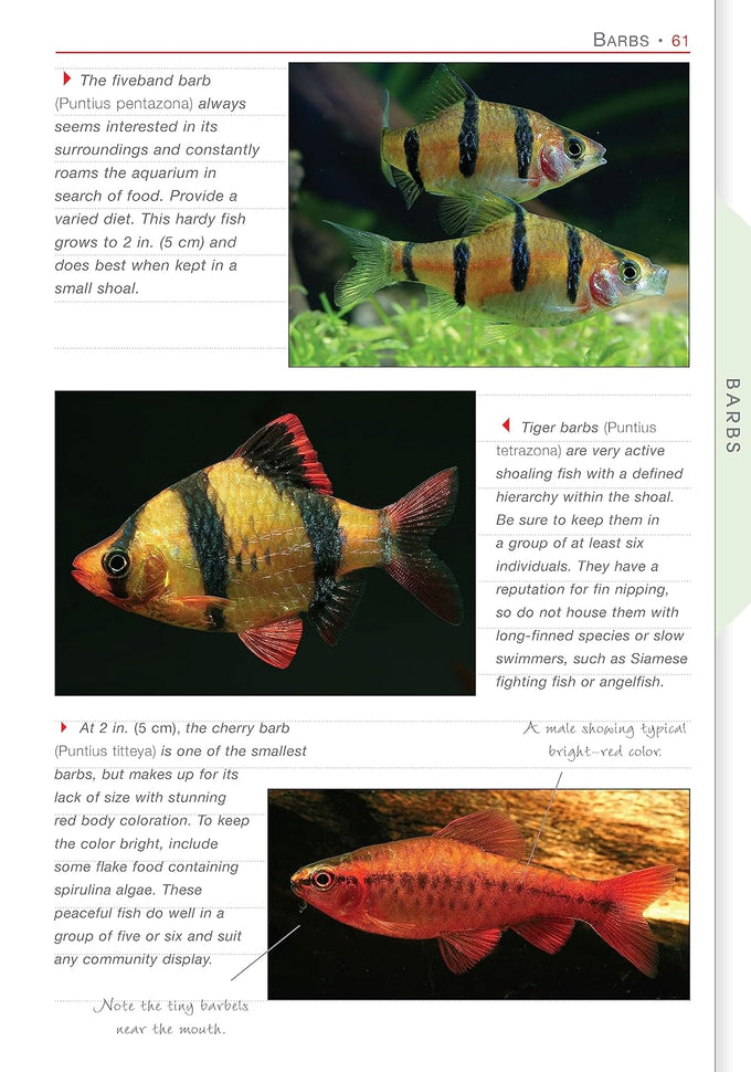 Aquamaster freshwater aquarium setup guide paperback companionhouse 2007