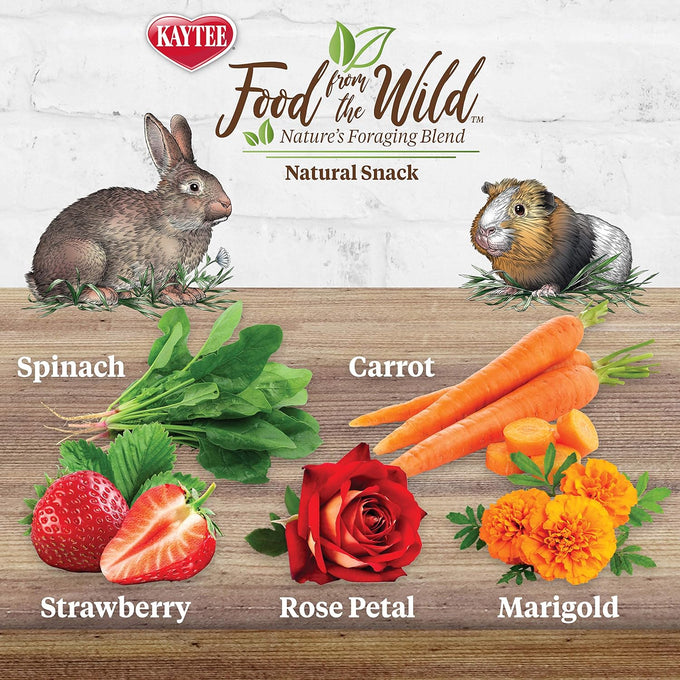 Kaytee Food from The Wild Natural Snack for Pet Rabbits, 1 Ounce, No Added Sugars or Fillers