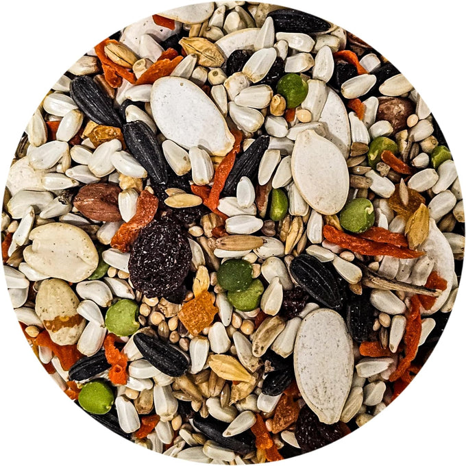 Premium conure and lovebird bird food, 4 lbs triple cleaned seed mix with natural ingredients