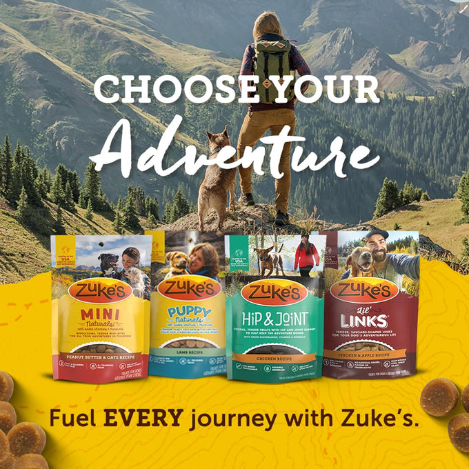 Zuke's Mini Naturals, 16 oz Resealable Pouch, Dog Training Treats with Real Salmon for Small to Large Dogs